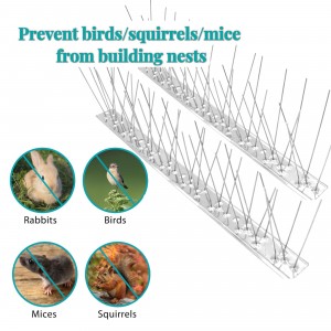 Bird Deterrent Thorns for Effective Property Protection