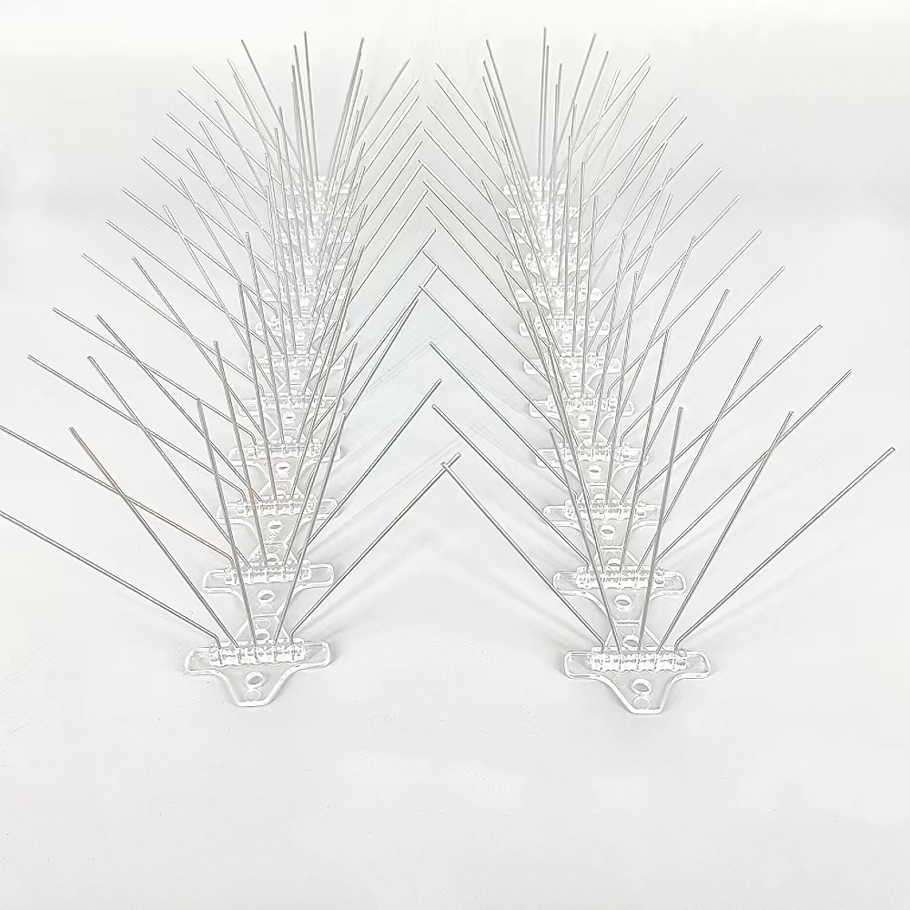 Bird Spikes: A Safe and Effective Solution for Pest Bird Control