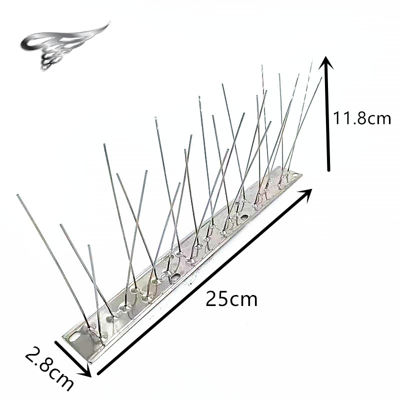 Debunking Myths Surrounding Bird Spikes: A Humane and Effective Solution