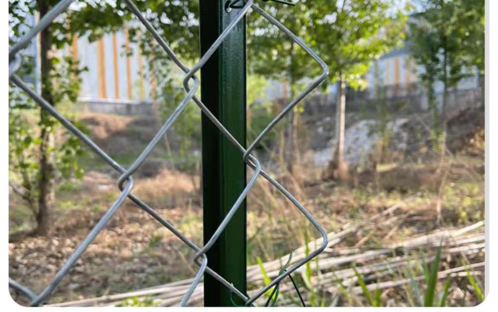 Sturdy Steel Y Posts Revolutionize Fencing Solutions