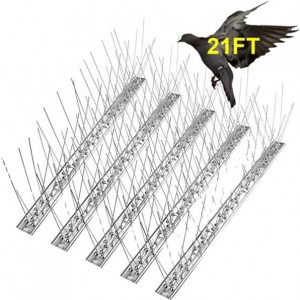 Avian Harmony Achieved: Introducing Our Innovative Bird Spikes for Ethical and Effective Bird Control