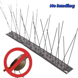 Bird Spikes Stop Birds Landing for Effective Property Protection