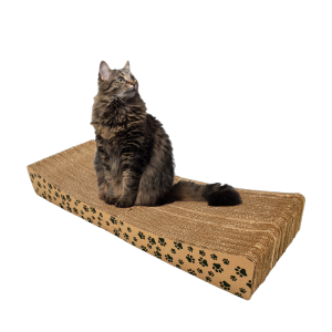 XXXL ကြီးမားသော Corrugated Paper Cat Scratcher ကို ခွဲထားသည်။