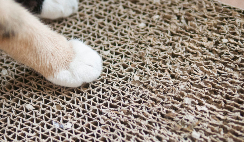 Ten principles for cats to use cat scratching boards correctly