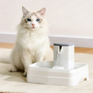 New 3.1L PP Automatic Waterfall Design Pet Water Dispenser Cat Feeding Water Fountain