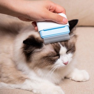 Reusable Portable Travel Pocket Pet Tangles Removal Brush Pussy Cat Groomer Bristle Pet Comb
