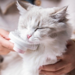 Escova De Gato Pet Fur Cleaning Removal Needle Grooming Pet Cat Brush Comb