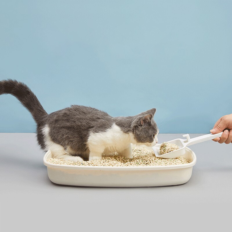How to choose cat food