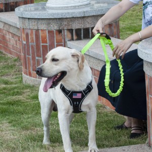 Factory Wholesale Adjustable Reflective Pet Dog Harness leash for Heavy Dog Leash