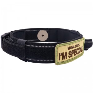 Custom Wholesale reflective adjustable tactical training martingale cat pet dog collar