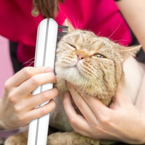 Cat Hair Removal Brush Groom Pet Hair Dryers
