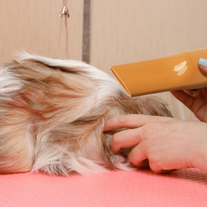 Pet Hair  Clipper Vacuum Cleaner Kit