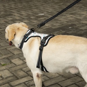 Custom Factory Wholesale Pet Harness Leash Cat Dog Vest Luxury Pet Har Puppy Kitten Harness Leash