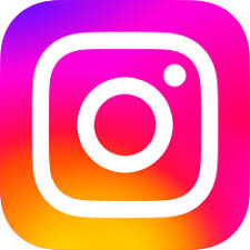 sns02 ins