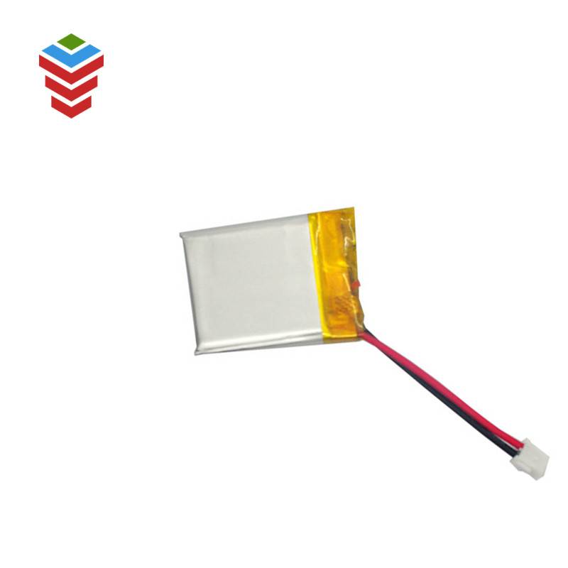Professional China 503448 Lithium Polymer Battery - 302025  110mAh – PLMEN