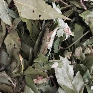 OEM Factory for Ground Chipotle - Green Blackberry Leaves with Low Pesticide Residues and Heavy Metals – P AND P