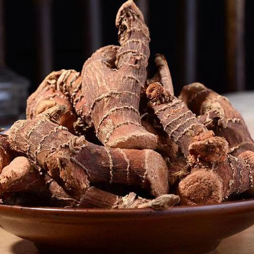 High Quality Fat Galangal Roots with Reddish Brown Color Featured Image