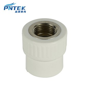 PNTEK PPR Female Thread Connector White Color PPR Brass Insert Socket
