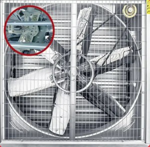 Push-pull Type Industrial Exhaust Fan Para sa Broiler Shed Ventilation pull push exhaust fan