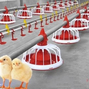 Poultry Auto Feeder Pan Broiler Feeding System Chicken Feeding Water Drinking System Pan Feeding System