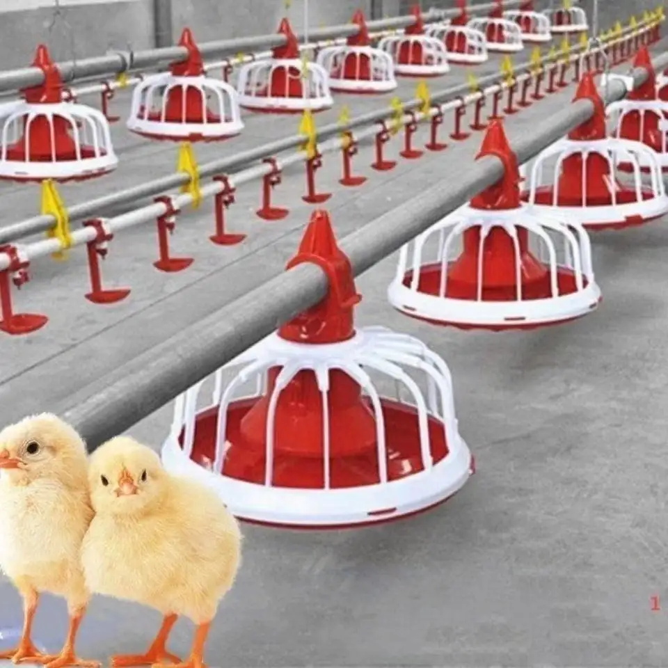 養鶏場の給餌システム 鶏の給餌器