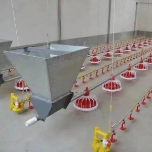 Chicken Drinking System Animal Pitná voda