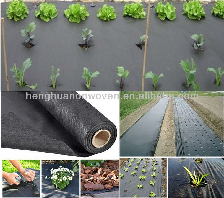 How should PP spunbond non-woven fabrics used in vegetable production be selected? What’s the trick?