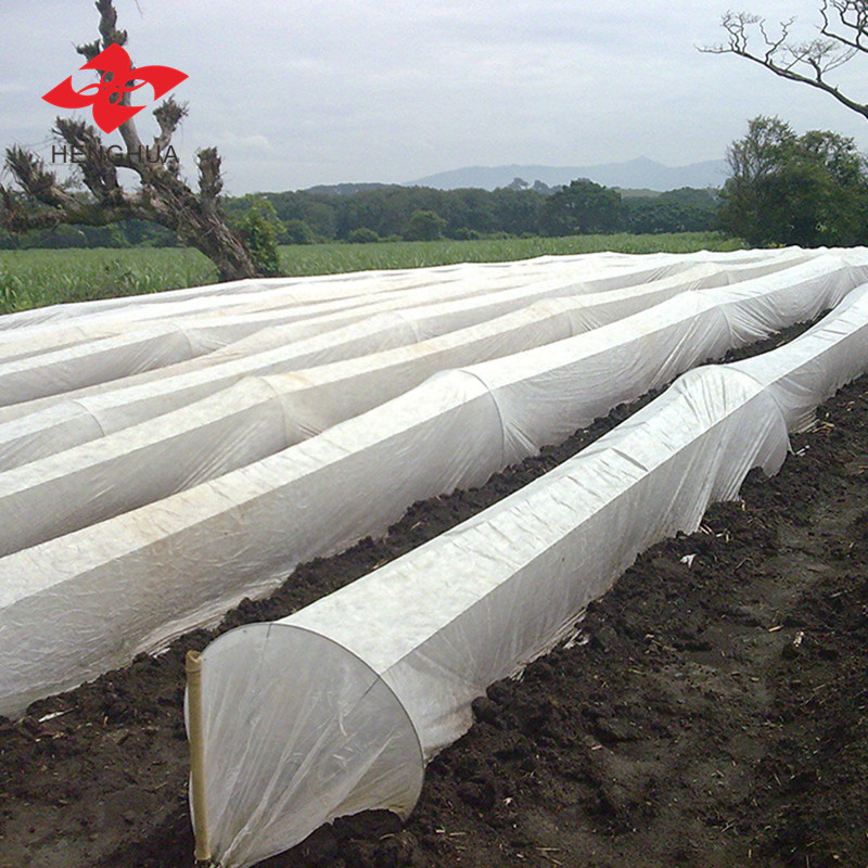 Polypropylene Spunbond fabric usage–Frost protection in Agriculture