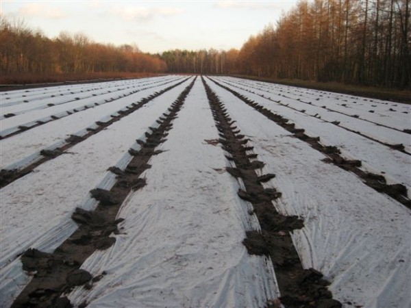 Application fields of agricultural non-woven fabrics