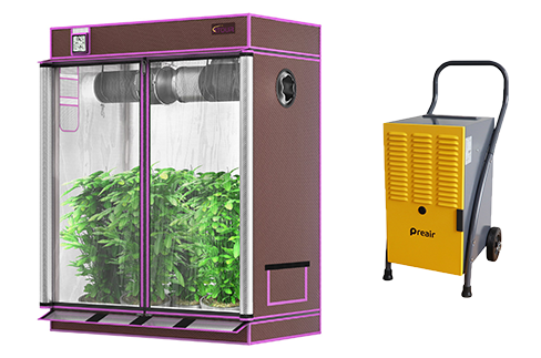 Best Size Dehumidifier for 2×2 Grow Tent