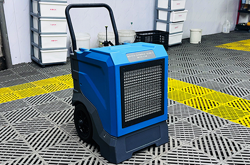 Do You Have to Let a Dehumidifier Sit for 24 Hours?