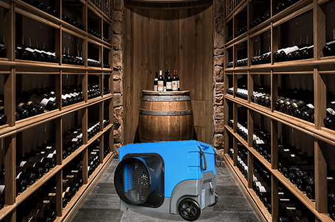 How Do You Prevent Mold in a Wine Cellar?