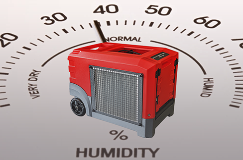 How Quickly Does a Dehumidifier Work?