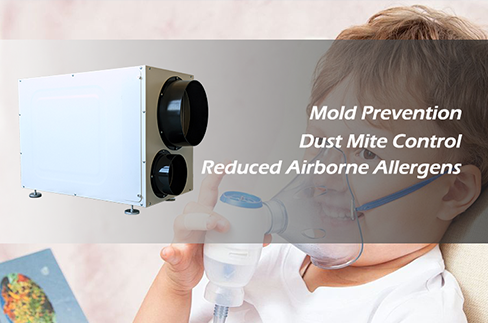 Is a Dehumidifier Good for Asthma?