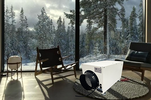 Should I Use a Dehumidifier in the Winter?