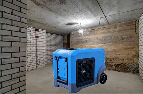What Is the Best Rated Dehumidifier for Basements?