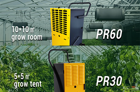 What Size Dehumidifier for 5×5 Grow Tent?