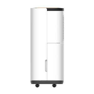 10L Energy Efficient Home Dehumidifier