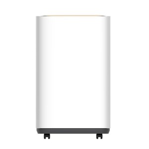 10L Energy Efficient Home Dehumidifier
