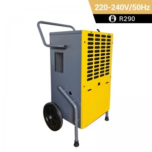 PR60 Portable Dehumidifier for Moldy Basement in Winter