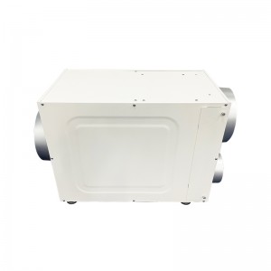 WH95 Dehumidifier For Whole Home Crawl Space