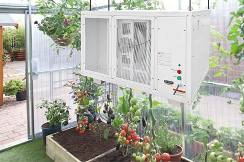 What Is the Best Way to Dehumidify a Greenhouse?