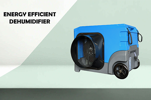 What Makes a Dehumidifier Energy Efficient?