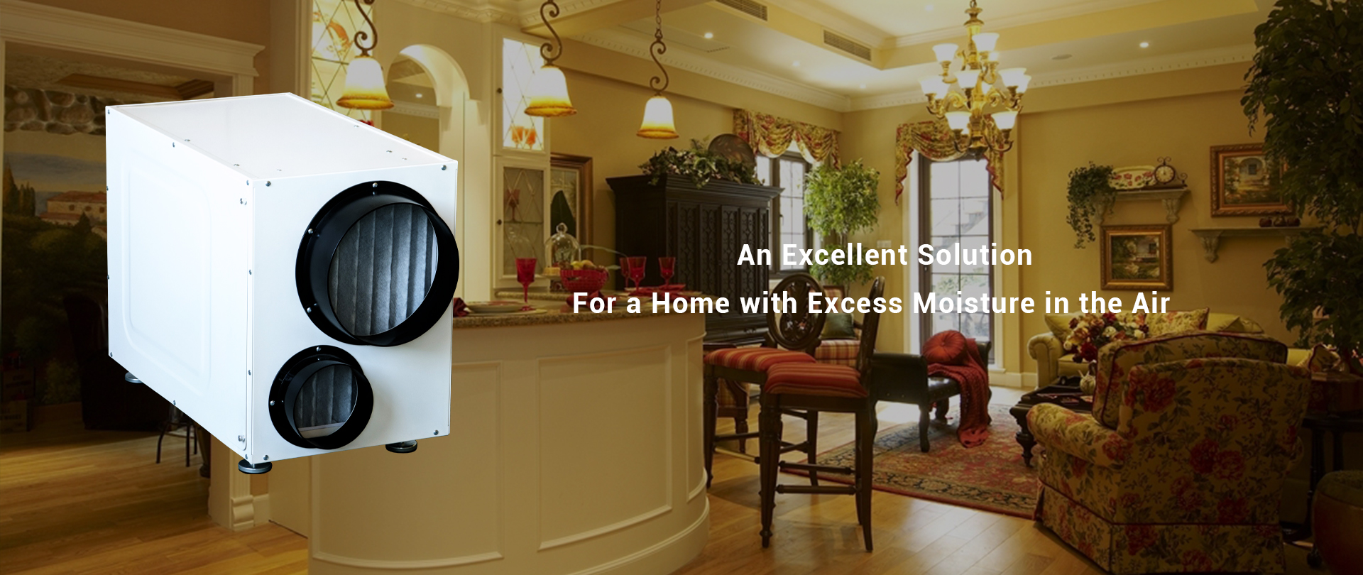Whole Home Dehumidifier with Fresh Air Intake