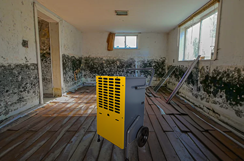 Why Need to Use a Dehumidifier for Moldy Basement?