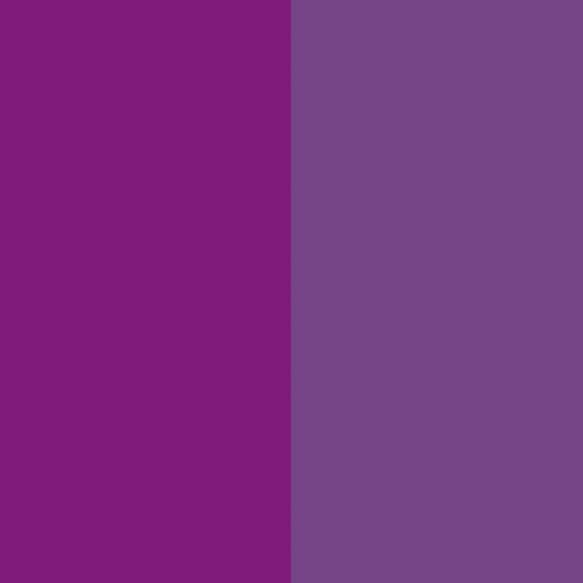 Good Wholesale Vendors Disperse Violet 57 - Solvent Violet 36 – Precise Color