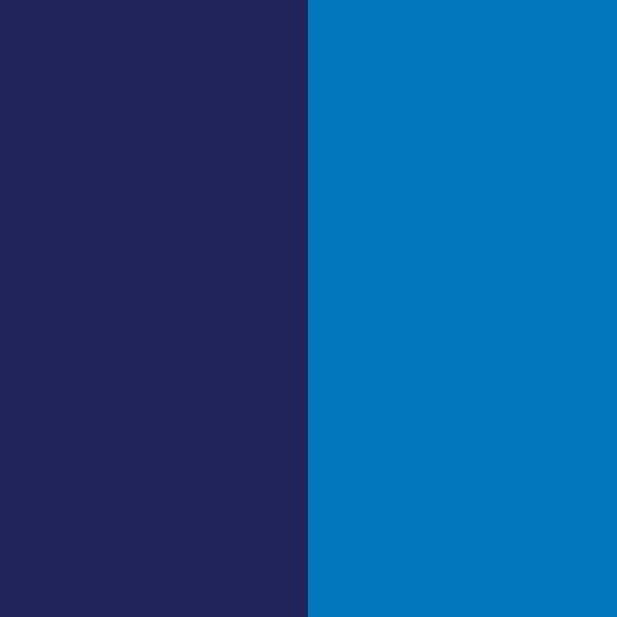 New Fashion Design for Pigment Violet 23 PP fiber polypropylene fiber -  Pigment Blue 15:4 – Precise Color
