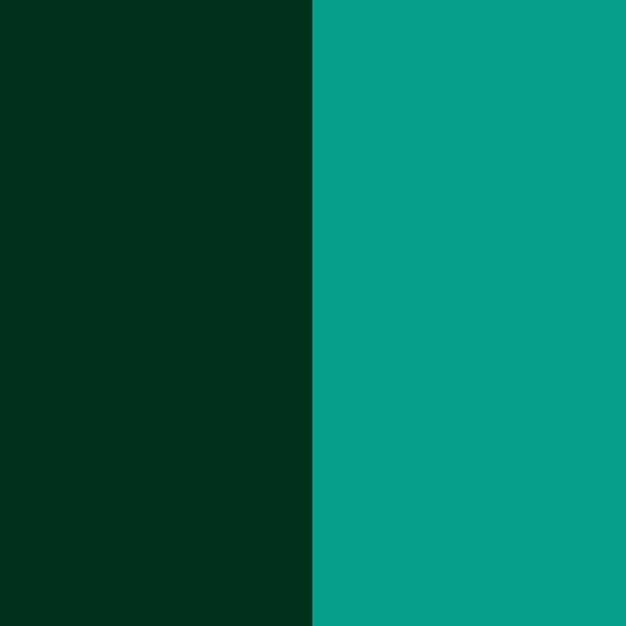 China wholesale single pigment concentration - Pigment Green 7 – Precise Color