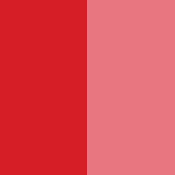 Manufacturer of Pigment Violet 23 light fastness - Pigment Red 112 – Precise Color