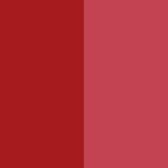 High Quality organic pigment - Pigment Red 144 / CAS 5280-78-4 – Precise Color